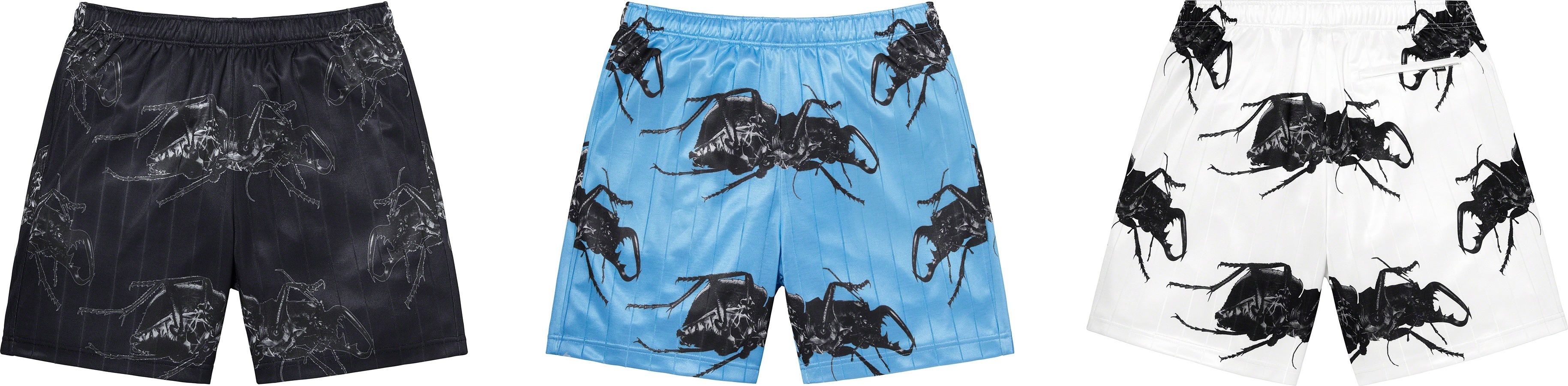 Beetle Short